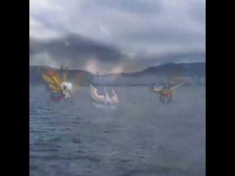 뷰티플라이+비나방+메가자리 ( Beautifly+Masquerain+Yanmega ) アゲハント+アメモース+メガヤンマ