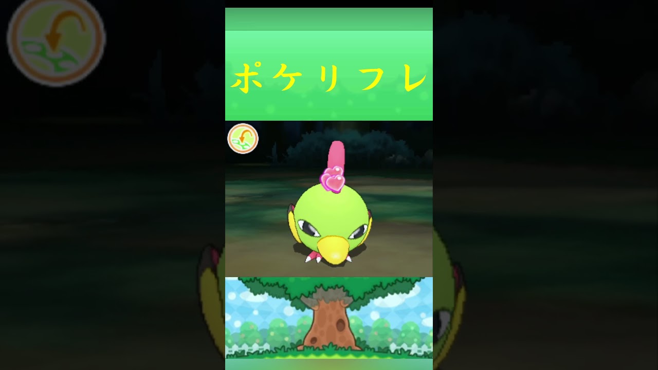 ポケモン ネイティ ポケリフレ ポケパルレ #ポケモン #Pokemon  #3DS #ポケモン技 #ポケモンsv #ポケモン#キャンプ #カレー #サンドイッチ #ピクニック