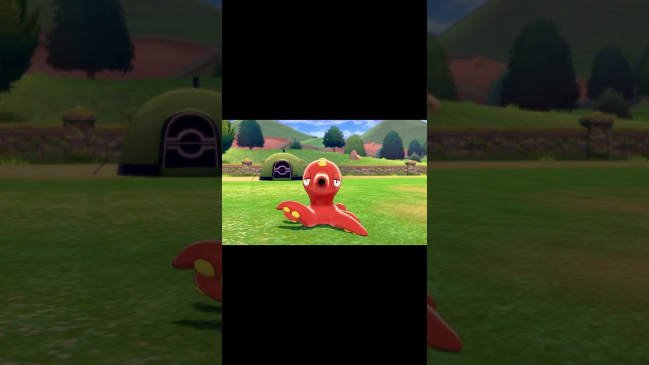 こちらに向かってやってくるオクタン　#Shorts