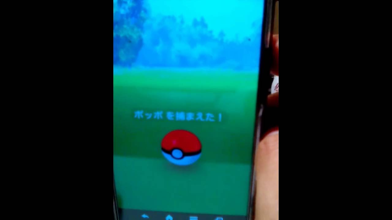 ポケモンGO ポッポがピジョンに進化