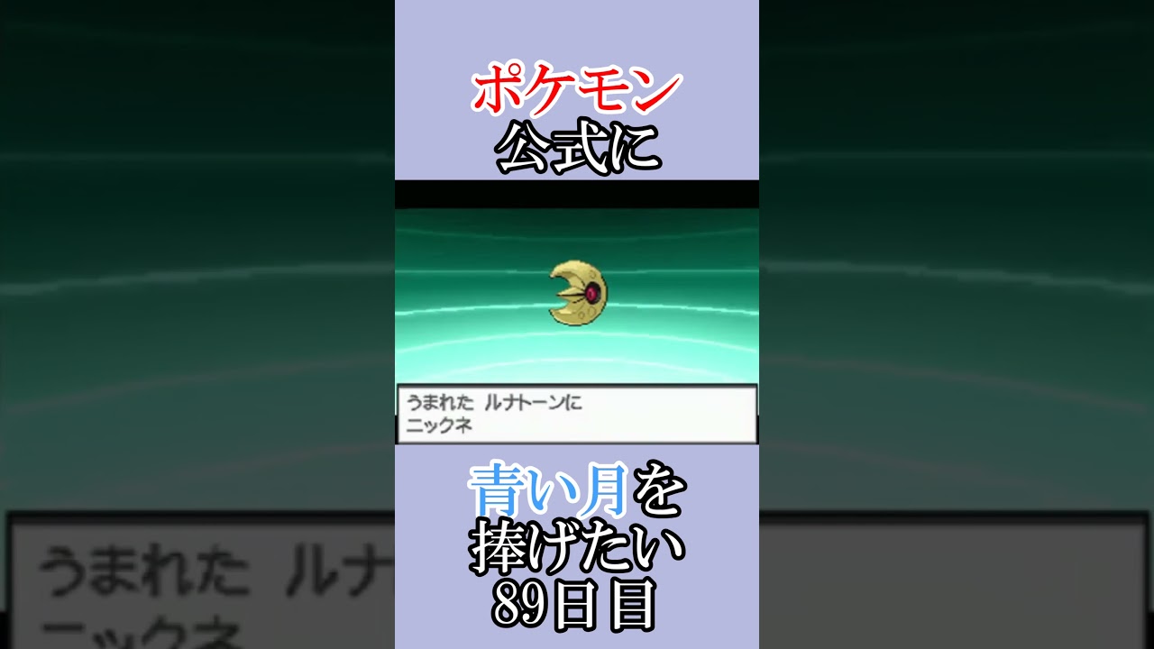 デカ過ぎんだろ・・・気。「青いルナトーンを捜せ」＃89日目