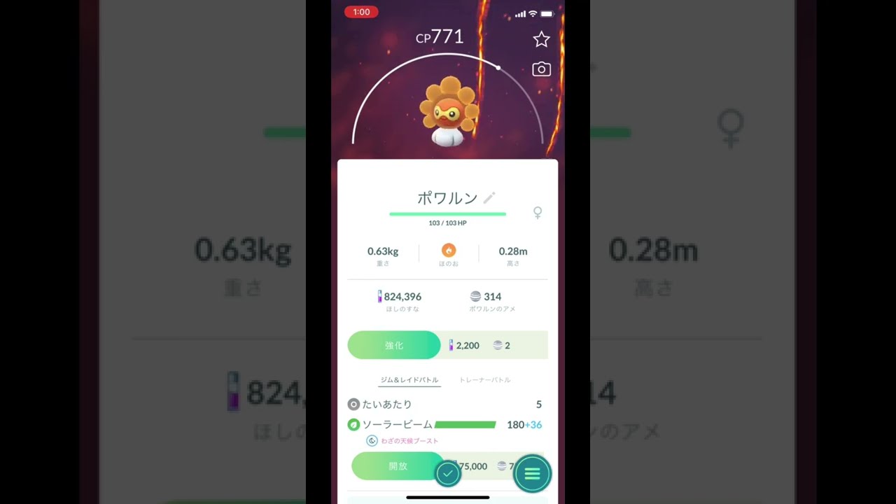 ポケモンGOでポワルン（たいようのすがた）をゲット！ #Shorts