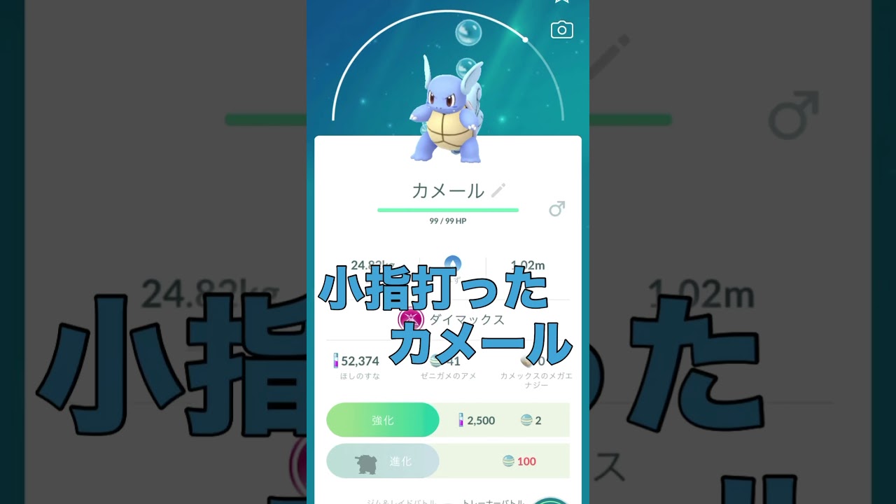 (水晶チャンネル)小指打ったカメール　￼#pokemongo  #pokemon #ポケモン