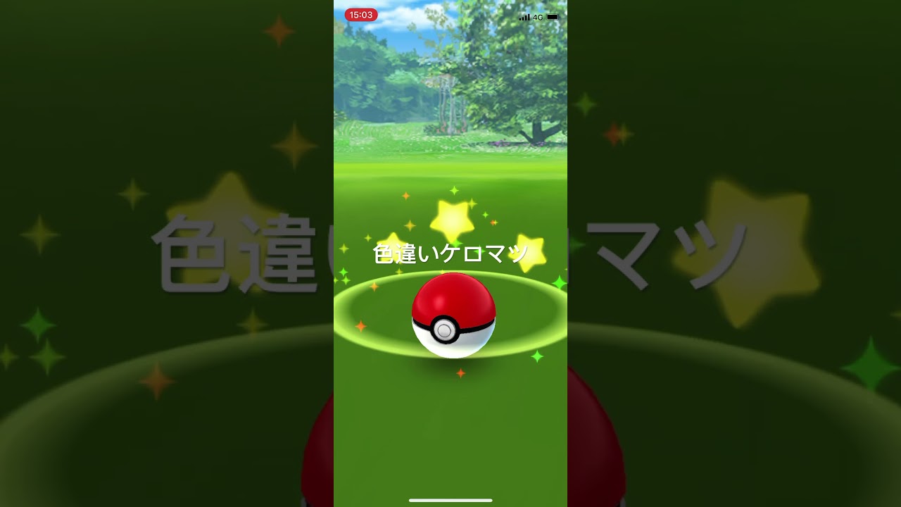 ポケモンGO 色違いケロマツ出現！ #pokémon #ポケットモンスター