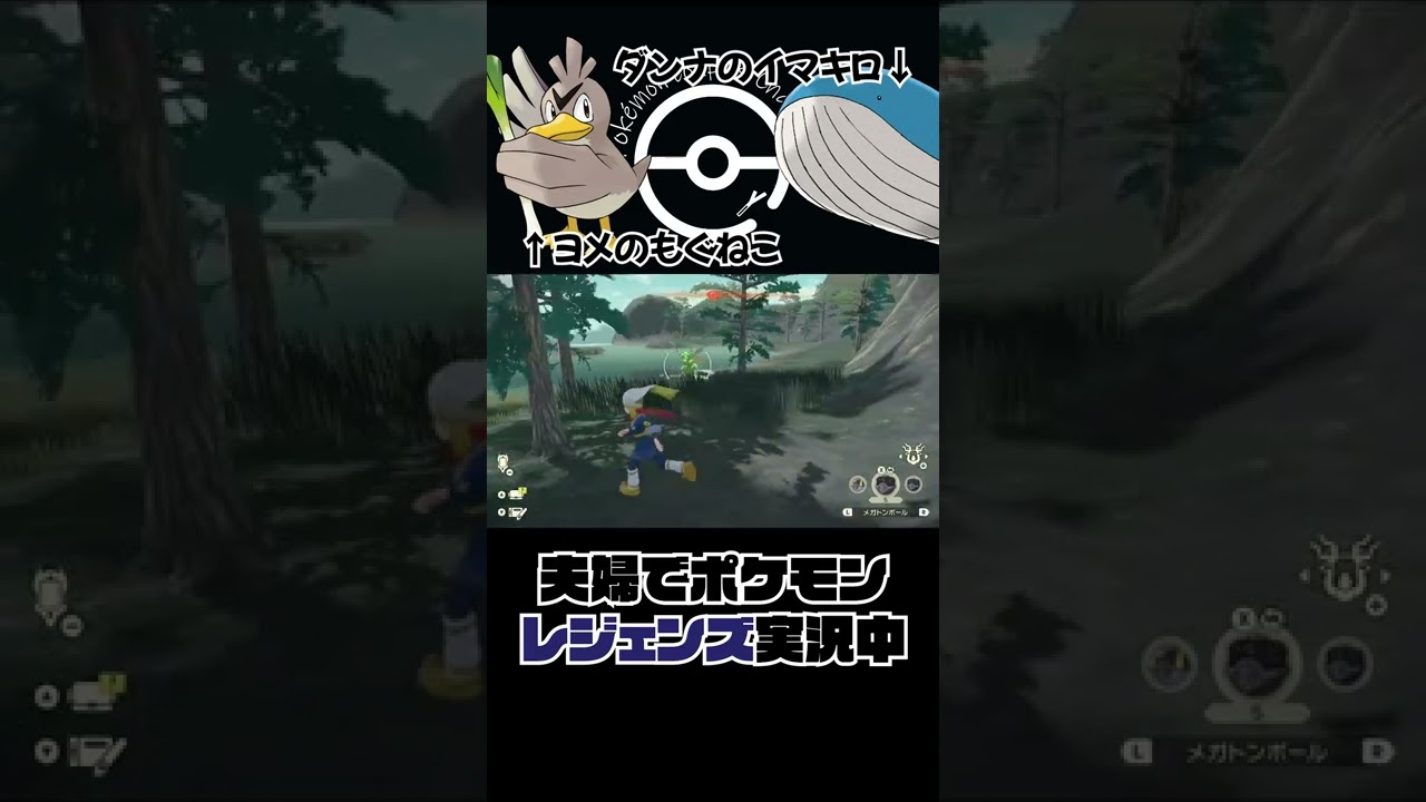 ポケモンレジェンズ ミズゴロウだと思ったらヒャダインだった...👩 #Shorts