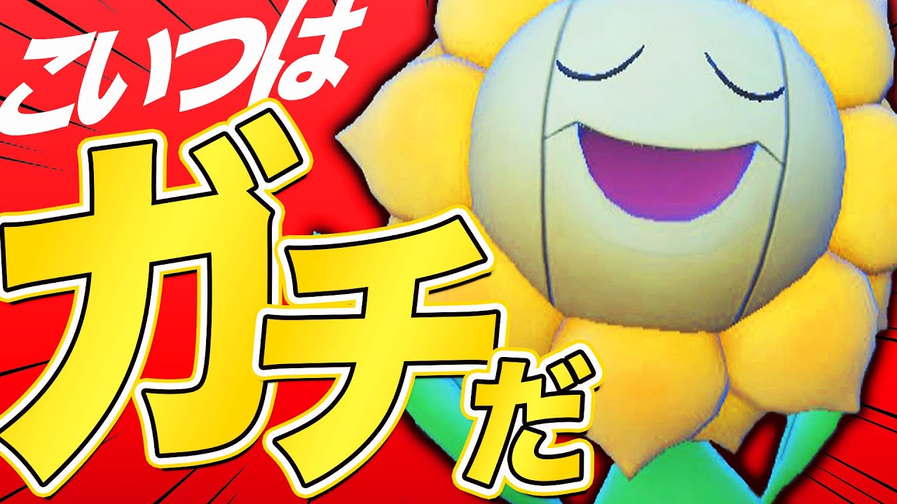 【ぶっ壊れ火力！？】ガチ勢が本気で使いこなすキマワリ採用「晴れパ」で勝利を掴む【ポケモンSV / ダブルバトル】