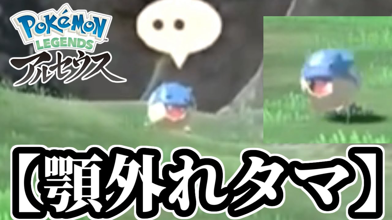 皆さんは"顎外れタマザラシ"を見たことがあるだろうか【ごまちゃん切り抜き】【ポケモンLEGENDSアルセウス】
