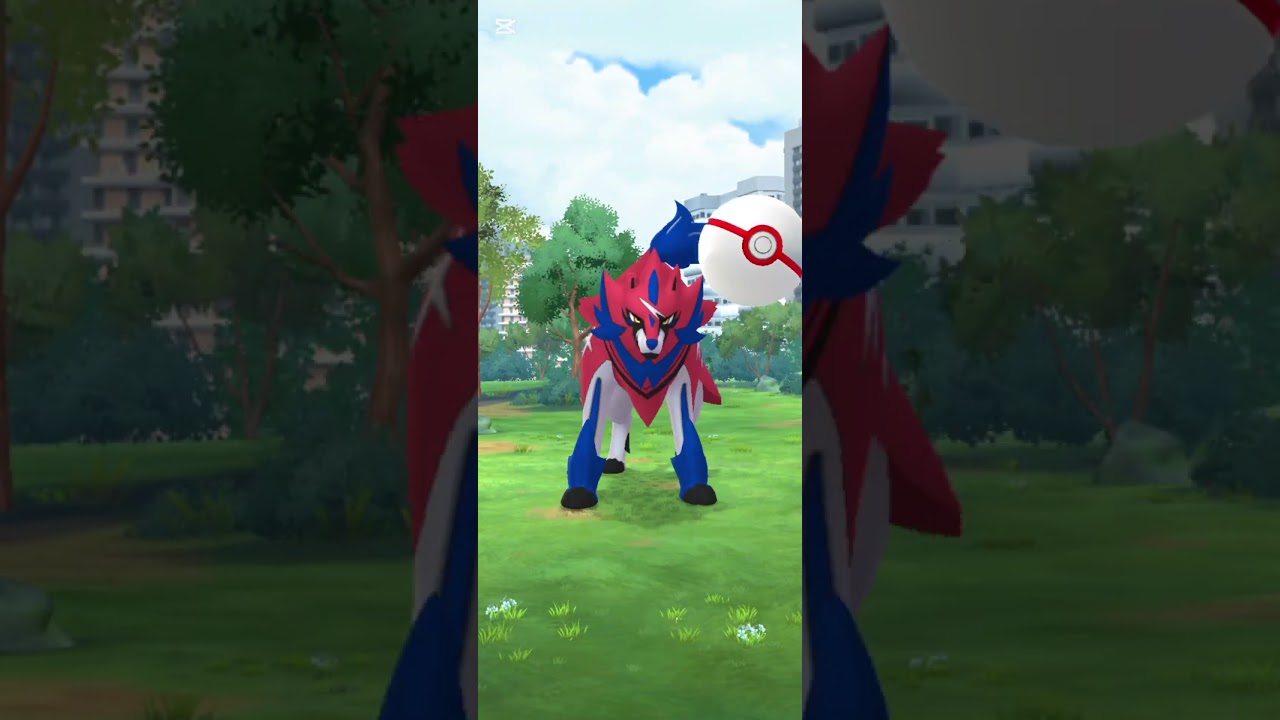 ザマゼンタ嬉しい！　#ポケモン　#ポケモンgo 　#ザマゼンタ　#pokemon 　#レイド　#shorts 　#おすすめにのりたい
