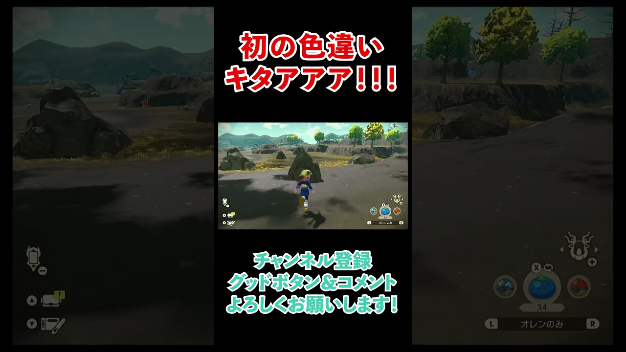 【レジェンズアルセウス#9】色違いとの遭遇