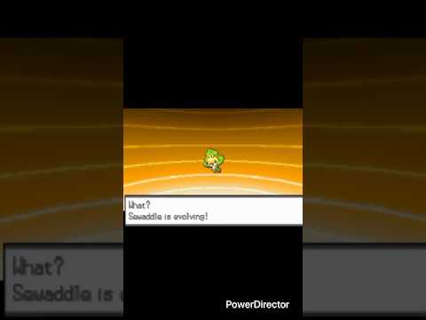 Sewaddle evolves into swadloon Pokemon black version
