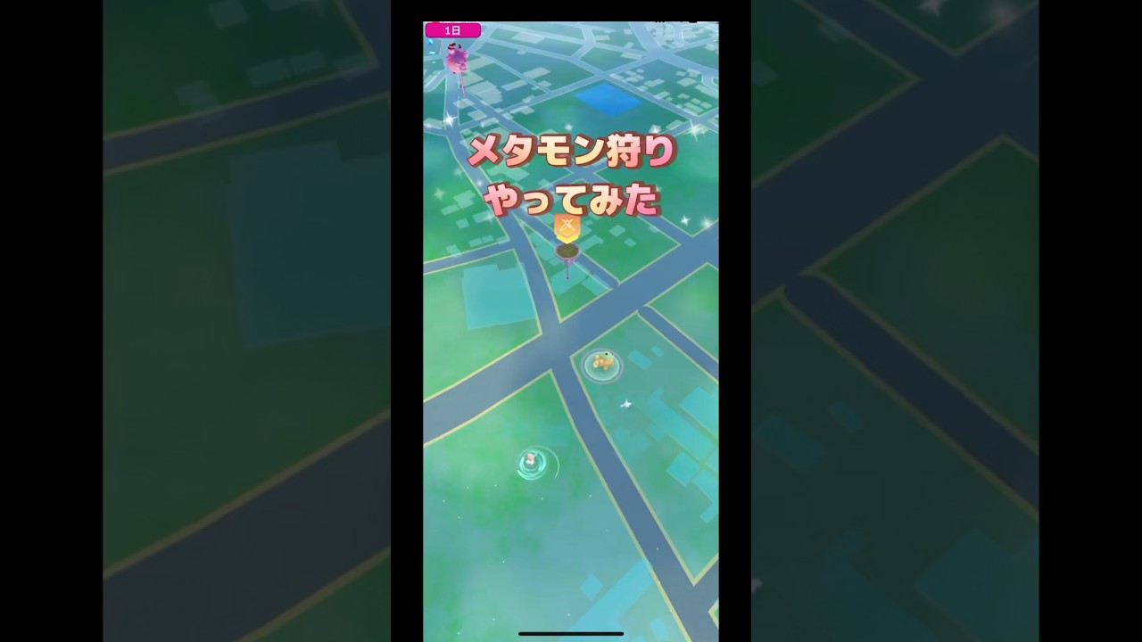 メタモン狩りやってみたドンメルは興味ないよ🤣
