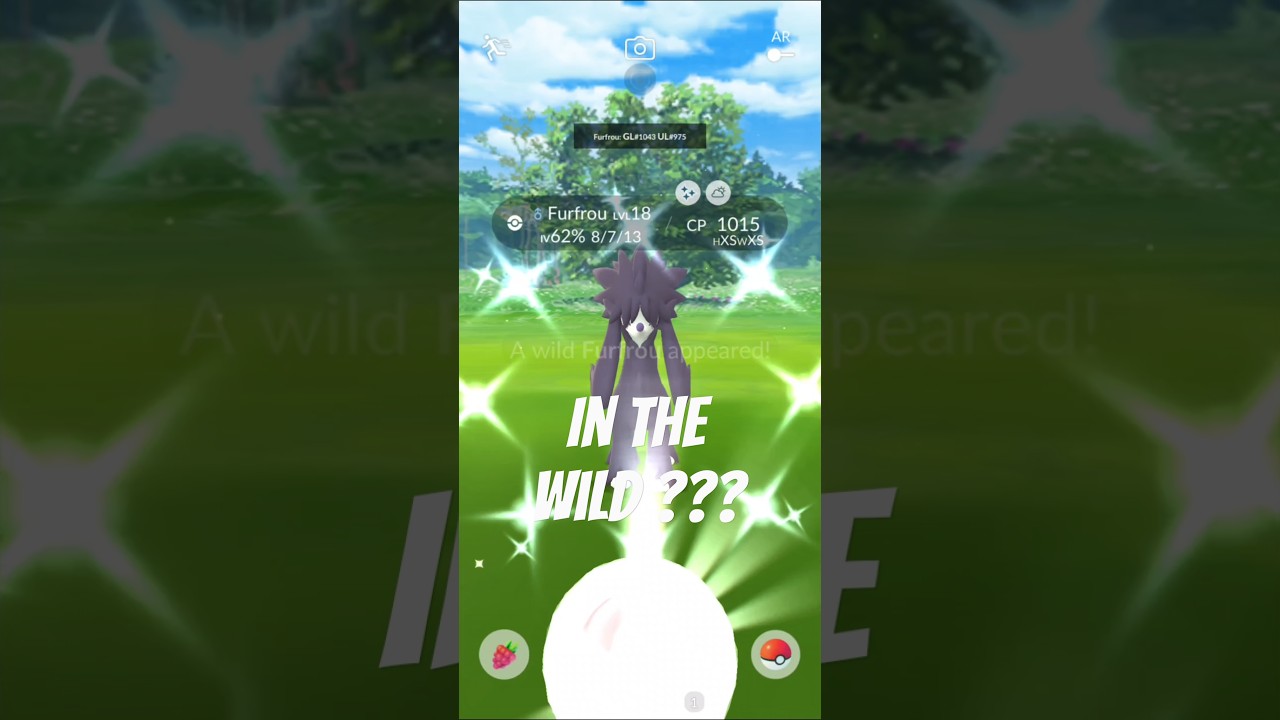 Shiny Furfrou in the Wild 🫨 Pokemon Go #shorts #pokemongo #shinypokemon #furfrou