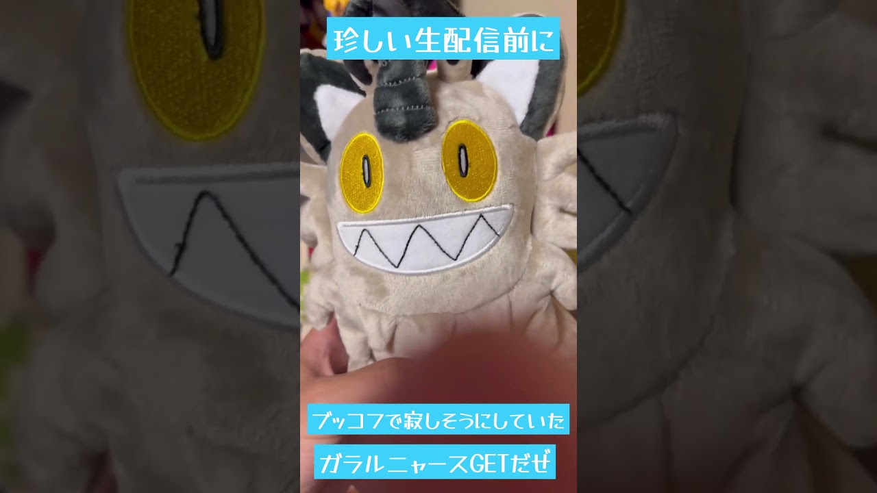 あまりしない珍しい生配信前に今日GETした『ガラルニャース』の可愛さをどうしても伝えたい#ポケモン