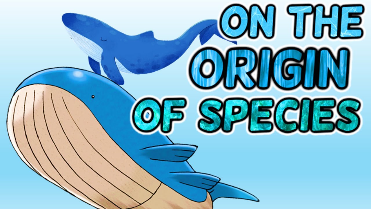 海洋生物学に基づいたポケモン