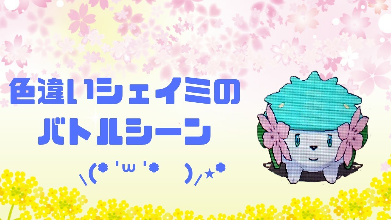 【ポケモンUSUM】色違いシェイミ　バトルシーン　お尻可愛い！【Shiny Shaymin】