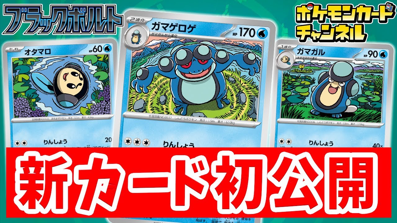 【初公開】同じワザを持つポケモンを並べてダメージアップ！「りんしょう」デッキが組めるガマゲロゲたちを紹介【ポケカ/ポケモンカード/ブラックボルト/ホワイトフレア】