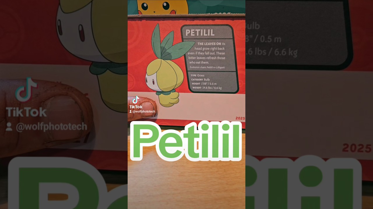 📅4/26-27/25 Petilil grass type pokemon #Petilil #pokemon #pokémon #pokemonshorts #pokemontiktok #rpg