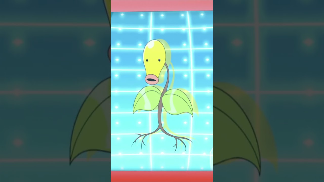 Pokédex 0069 - Bellsprout #pokemon #pokémon #pokédex #bellsprout #ashketchum #gohpokemon