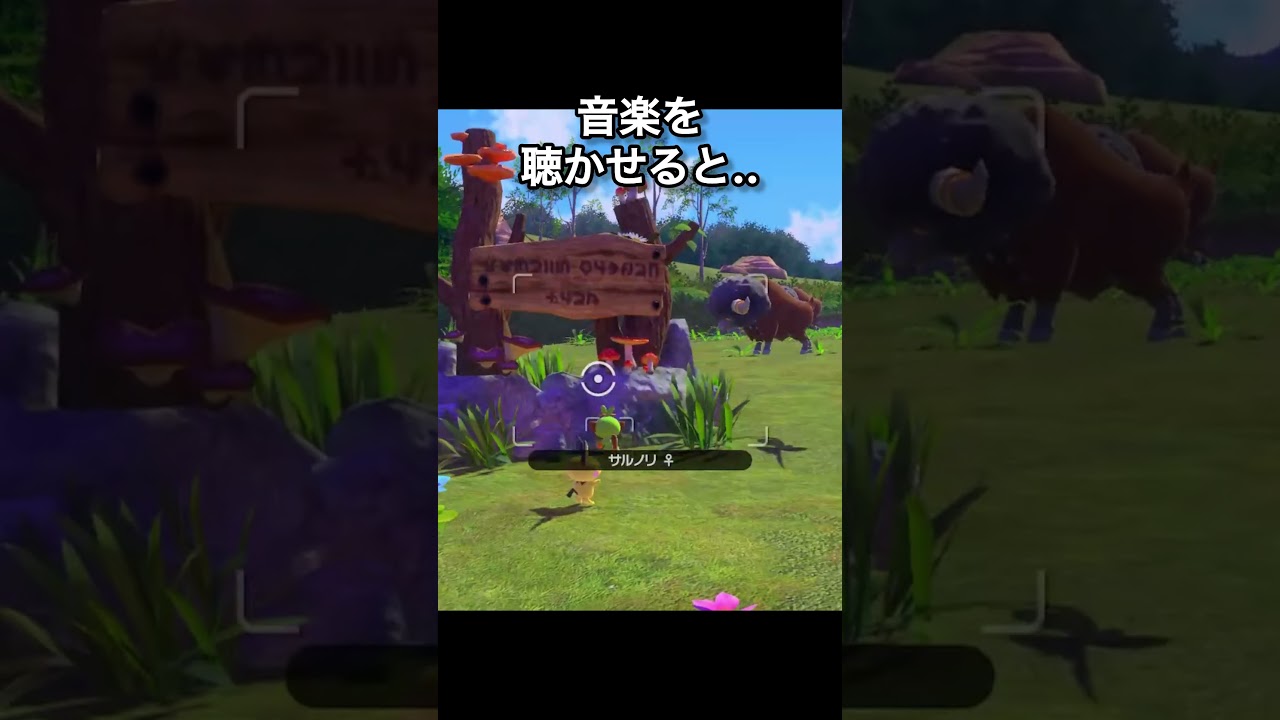 ノリノリサルノリ　#サルノリ #ポケスナ