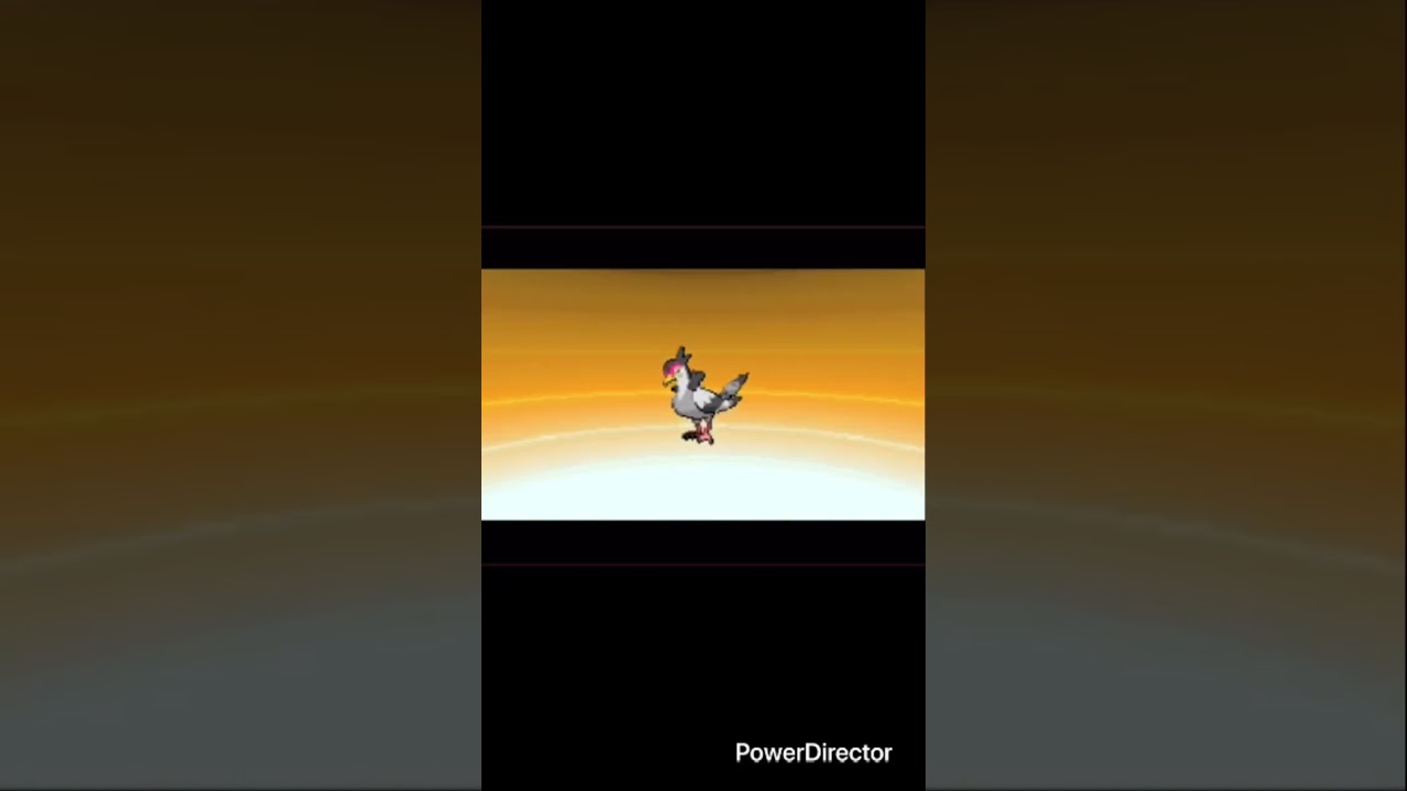 Pidove evolves into Tranquil