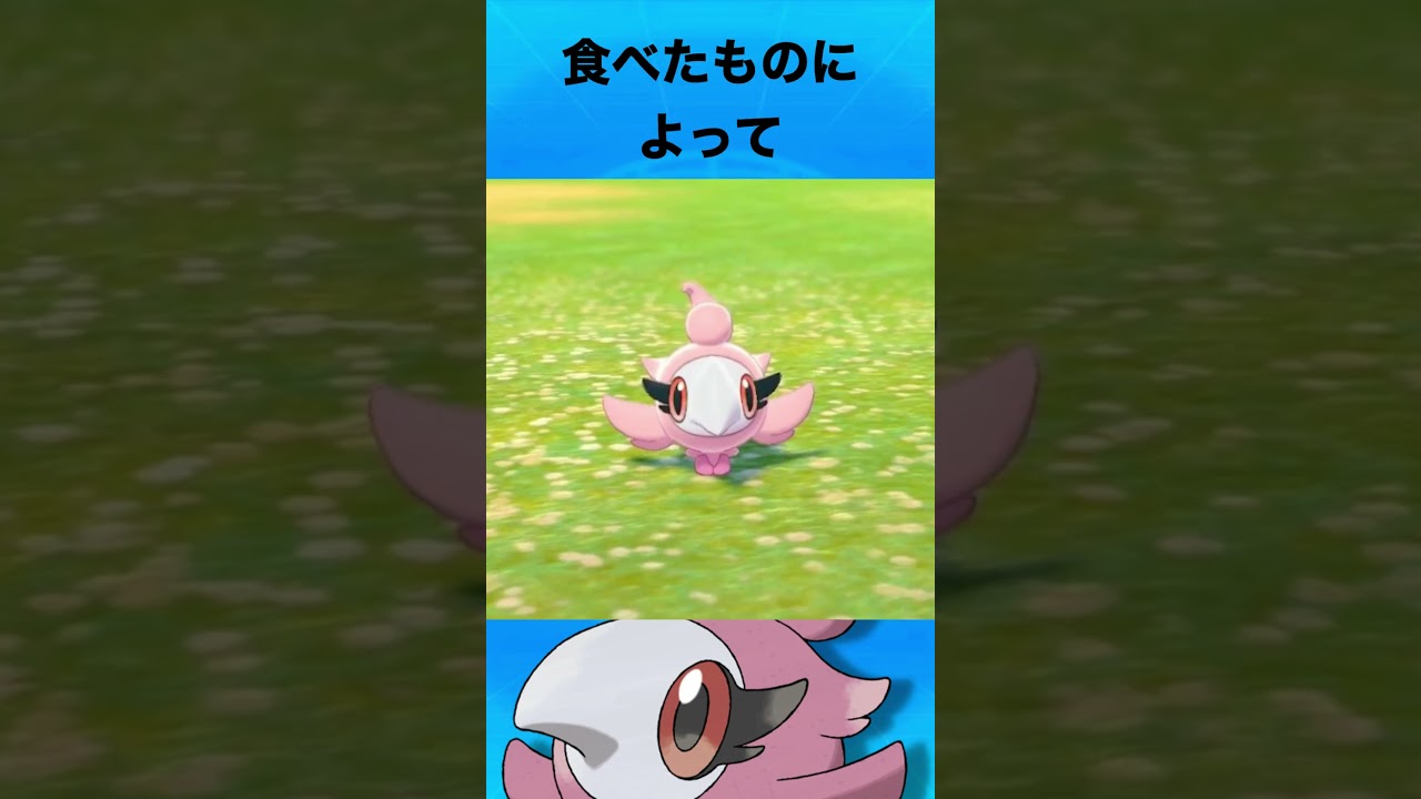 シュシュプについて #ポケモン #シュシュプ