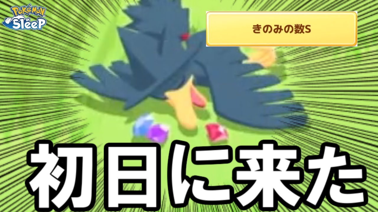 ヤミカラス初日で強がきたああああ！！！！！【ポケモンスリープ】
