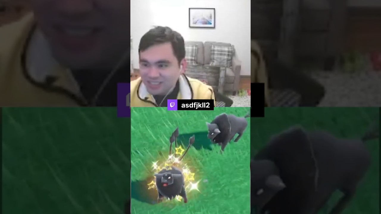 Shiny Paldean Tauros appears while hunting Shiny Flabebe! #ShinyHunting #pokemon