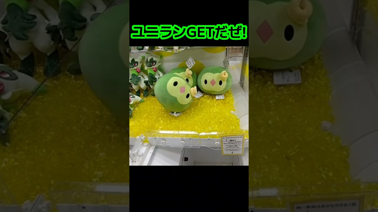 #クレーンゲーム #攻略 #ゲーセン #確率無視 #確率機 #ポケモン #ポケットモンスター #pokemon #ユニラン  クレーン ゲーム  TikTok