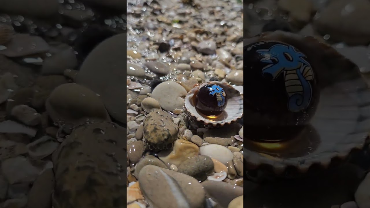 1999 Horsea Pokémon marble #90s #pokemon #pokemoncollection #marble #retro #nostalgia