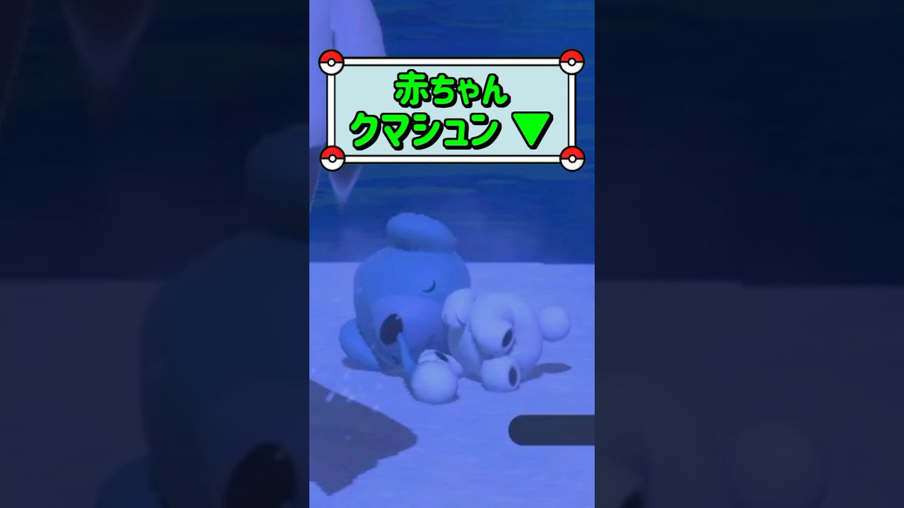 「赤ちゃんクマシュン ▼」　#お気軽にコメント下さい☺︎　#ポケモンスナップ　#ポケモン　#shorts