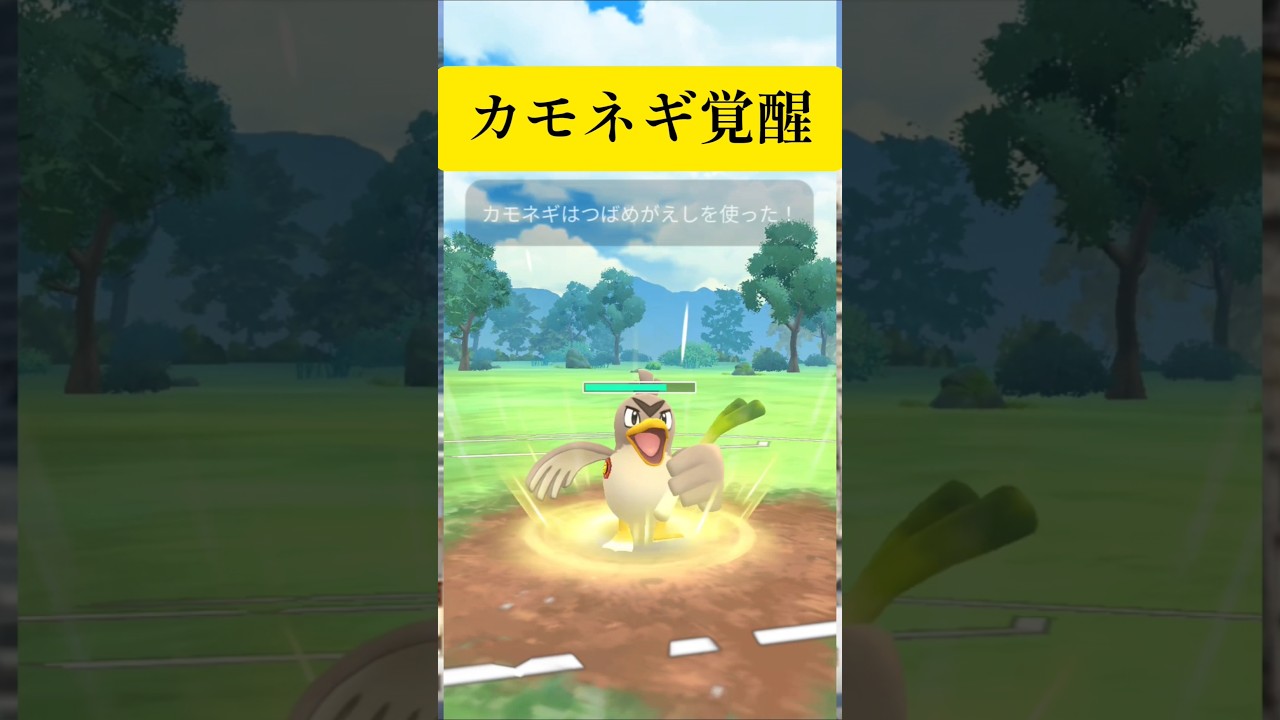 カモネギが活躍してる…だと…？！