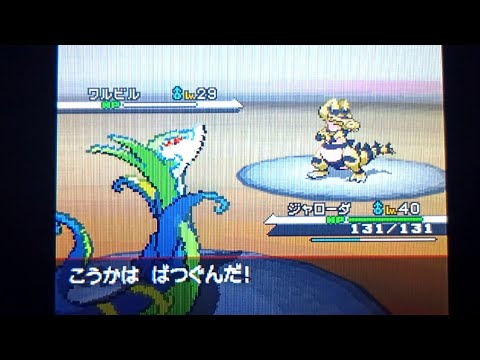 【実況】ポケットモンスターブラック 色違いジャローダ1匹旅　ジムバッジ5つ目まで