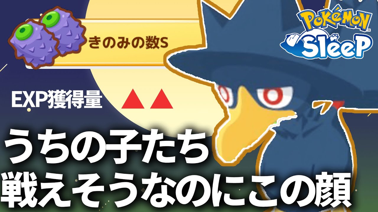 16ゲージのヤミカラスたちに好かれてる模様【ポケモンスリープ】