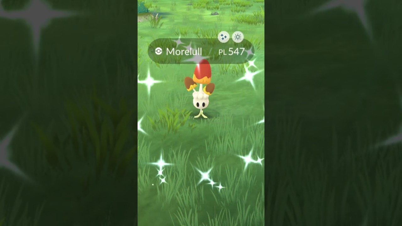 Shiny Morelull #youtubeshorts #shinypokemon #morelull #pokemongo #pokemonpocket #shorts