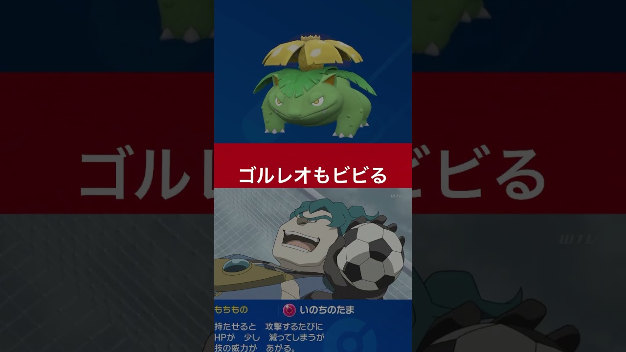 [ポケモンSV]相手の”晴れ”で超覚醒！！！偽装構築フシギバナが強すぎたWW #ポケモン #フシギバナ#東海オンエア#コライドン#コライドン対策#ひでり#晴れ#ランクバトル#ポケモンsv#えっほえっほ