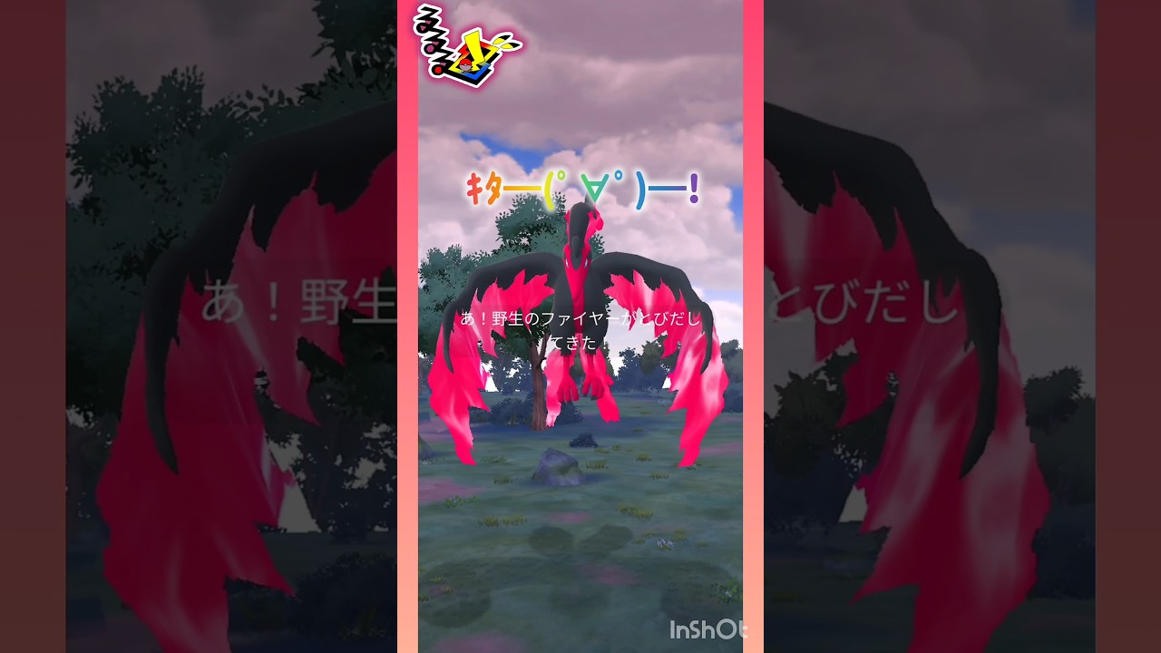 おさんぽおこう🐾‪𓏸𓈒(ง ˙˘˙ )ว #pokemongo #ガラル三鳥