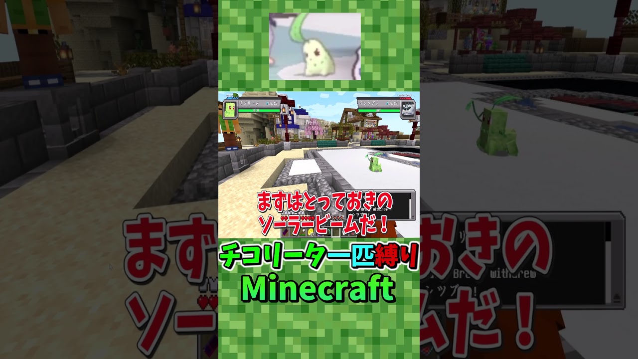 チコリータ1匹でジムバトル！#shorts #マイクラ #ゆっくり実況#cobblemon