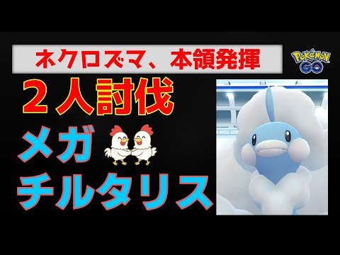 本編【メガチルタリス！2人討伐】ネクロズマが本領発揮 #ポケモンgo #ポケモン #レイドバトル #ネクロズマ #チルタリス #メタグロス