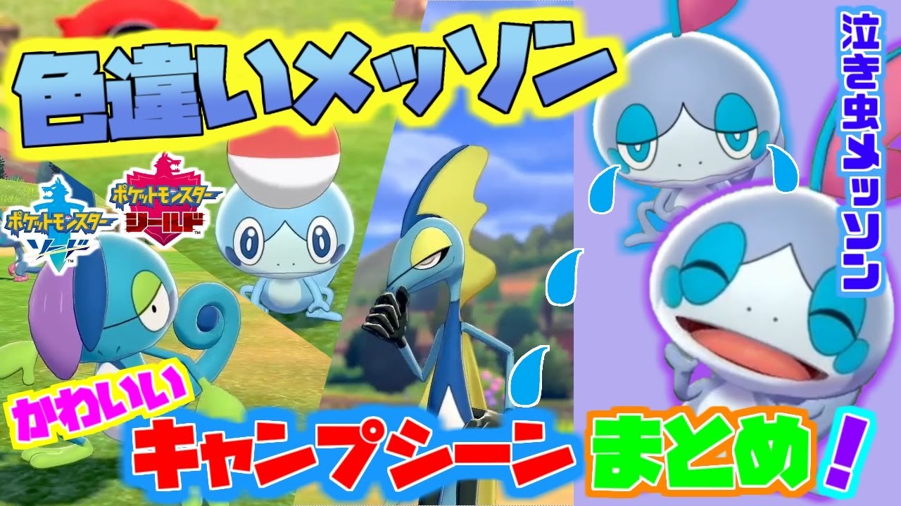 【ポケモン剣盾】色違いメッソン キャンプのかわいいシーンまとめ！色違いメッソン・ジメレオン・インテレオン紹介【ソード＆シールド】