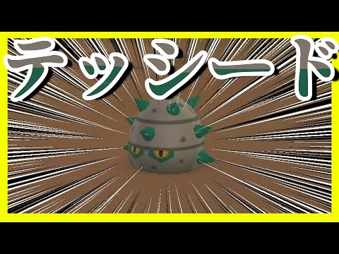 テッシードを運んでヒヒダルマと話してヒヒダルマを見て友達をめちゃくちゃ集めた【ポケパーク2 ～Beyond the World～】【実況】