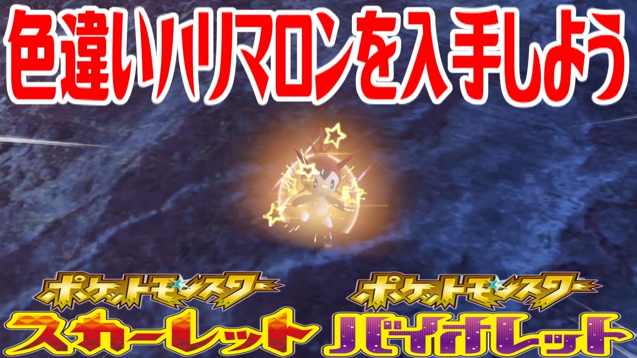 【ポケモンSV】色違いハリマロンを入手しよう【ポケットモンスター スカーレット・バイオレット ゼロの秘宝 藍の円盤】Pocket Monsters