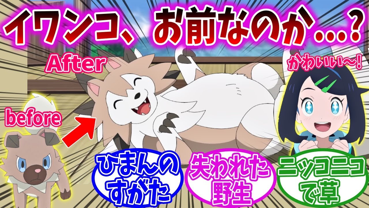 【アニポケ98話】マードックおじさんのイワンコ、変わり果てた姿で発見される【ポケモン反応集】