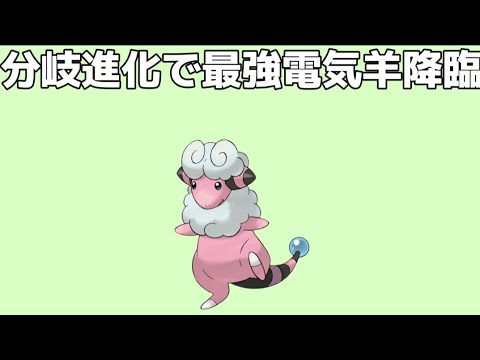 モココの分岐進化先が最強の理由【ポケモン解説員】