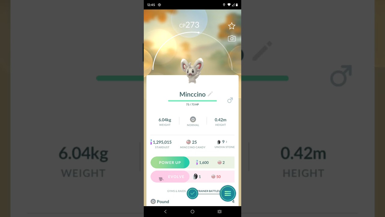 Pokemon GO: A minccino catch