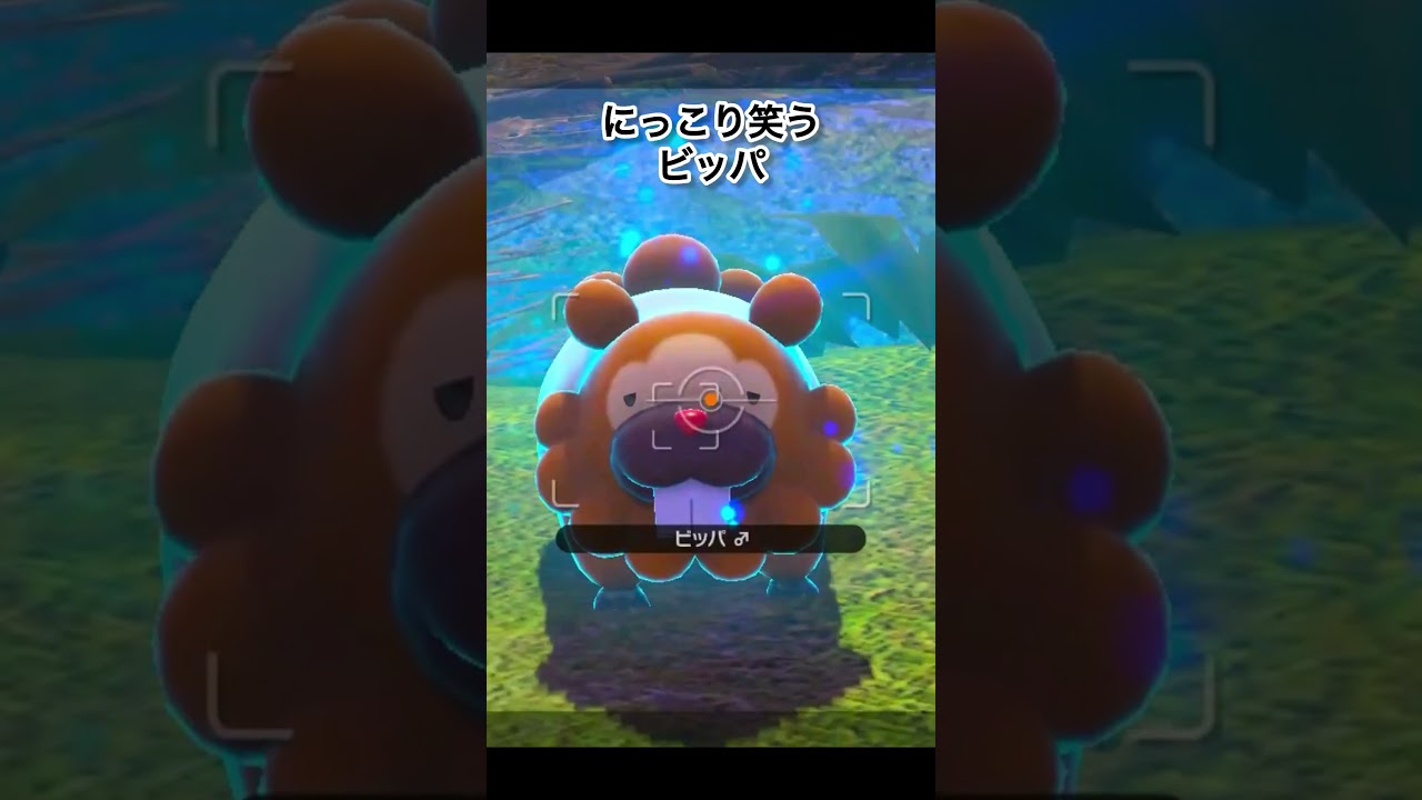 かわいすぎるビッパの生態7選！！　#ポケモンスナップ #ポケモン