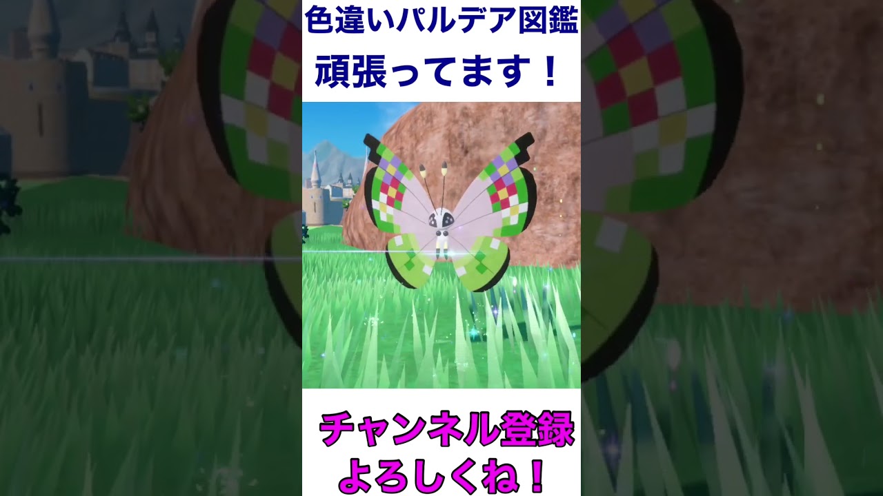 色違いビビヨンめちゃくちゃ可愛い💕#shorts #short #色違い #ポケモンsv #pokemon #スカーレットバイオレット #ポケットモンスター #shiny #コフキムシ#コフーライ