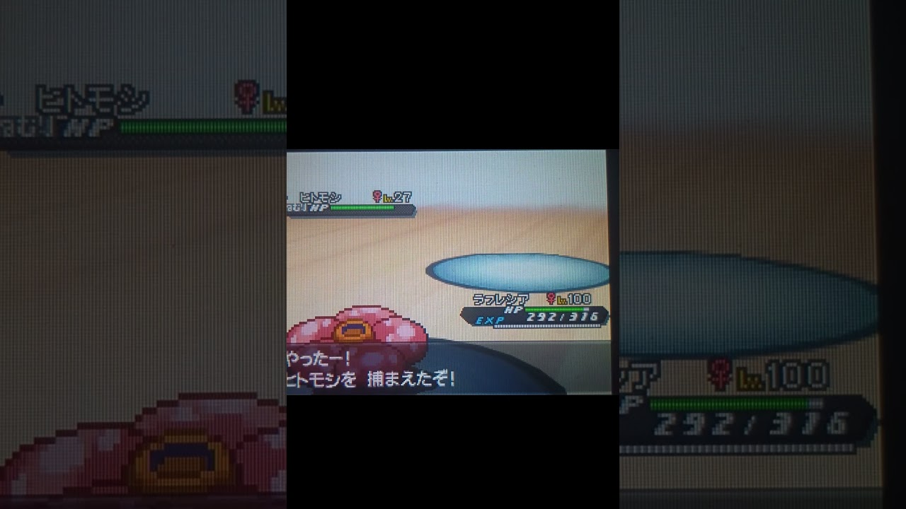 ポケットモンスターブラック2　色違いヒトモシゲット！#色違いポケモン  #ヒトモシ  #ポケットモンスター  #pokemon  #pokémon  #色違い  #ポケモン　#シャンデラ