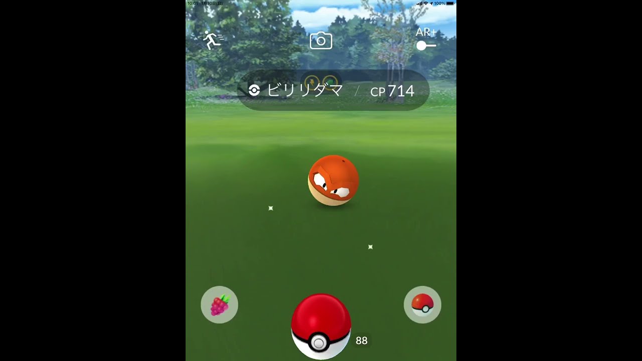 ポケモンGO ヒスイ地方のビリリダマが出てきた！！　Pokémon GO