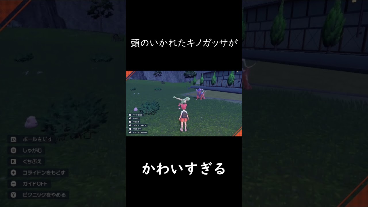 魔法陣完成してて草　#ポケモンsv #キノガッサ