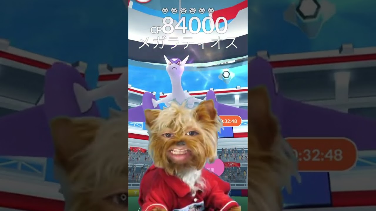 【ポケモンGO】田舎あるある…メガラティアス・メガラティオス登場！#Shorts